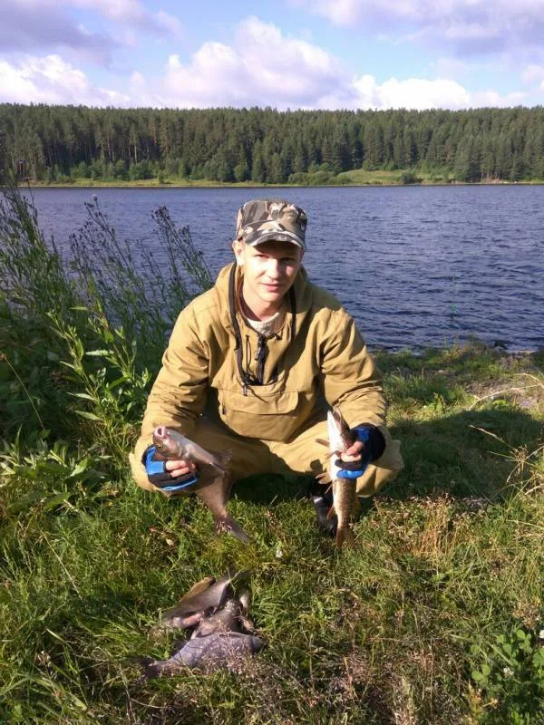 Лещ, Щука