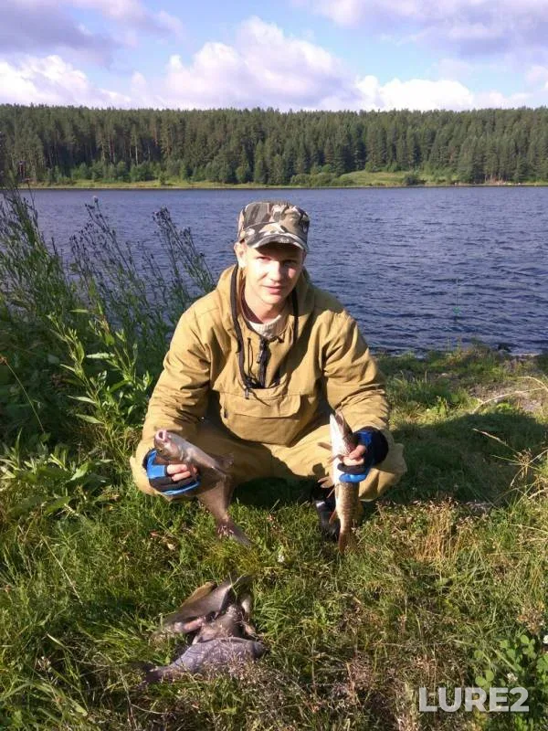 Лещ, Щука — Чусовая, 29 июл. 2017 г.