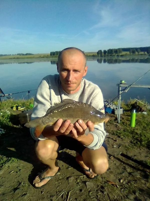 Карп