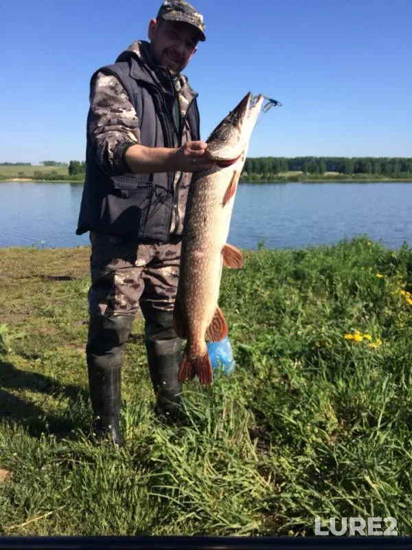 Щука — Северная Уньга, 05 июн. 2019 г.