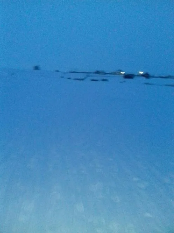 Окунь, Щука