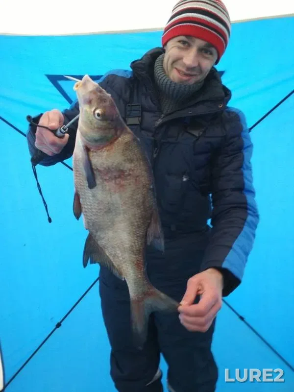 Лещ — Десногорское, 10 февр. 2019 г.