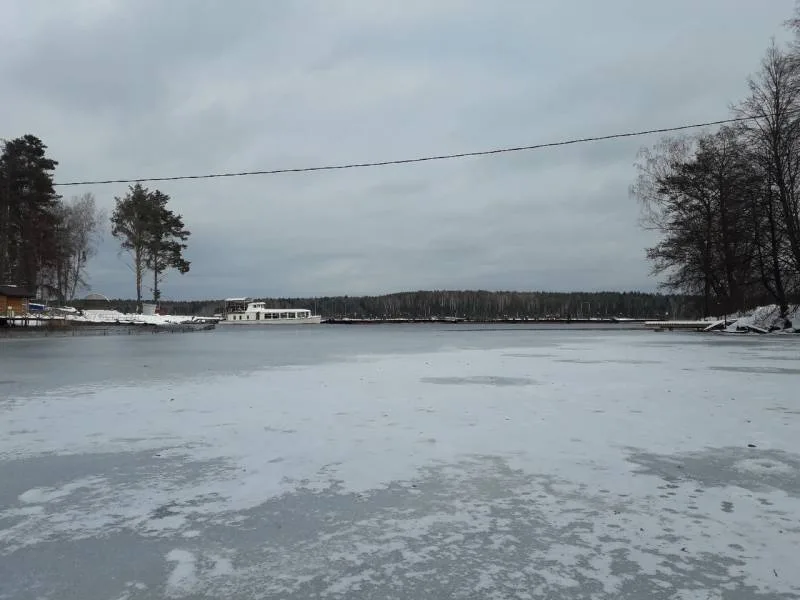 Окунь