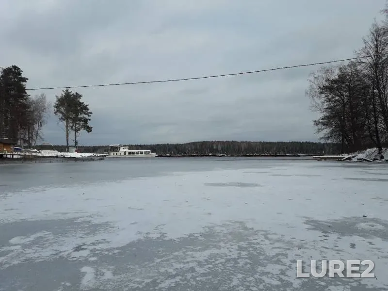 Окунь — Десна, 20 янв. 2019 г.