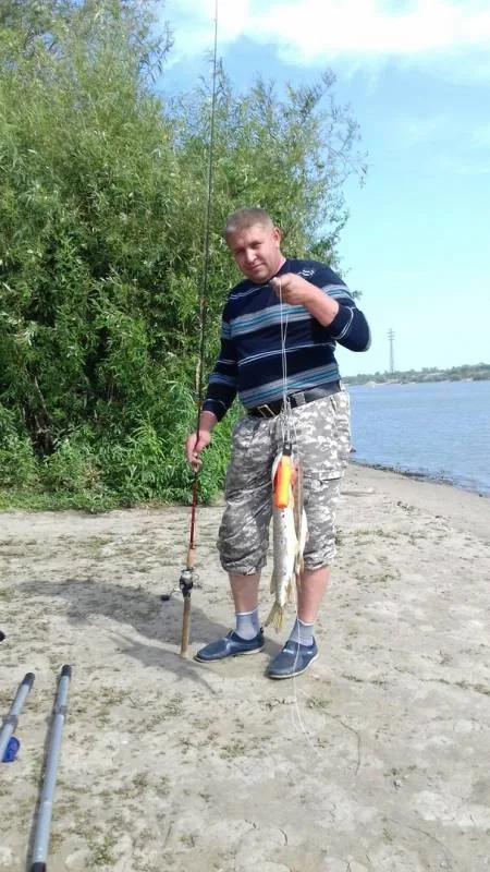 Щука, Судак