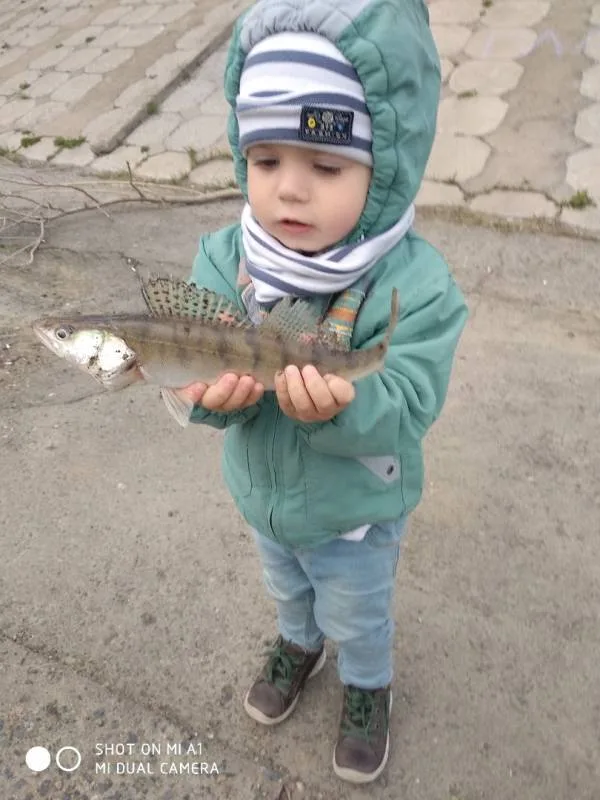 Судак