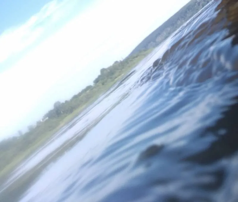 Язь