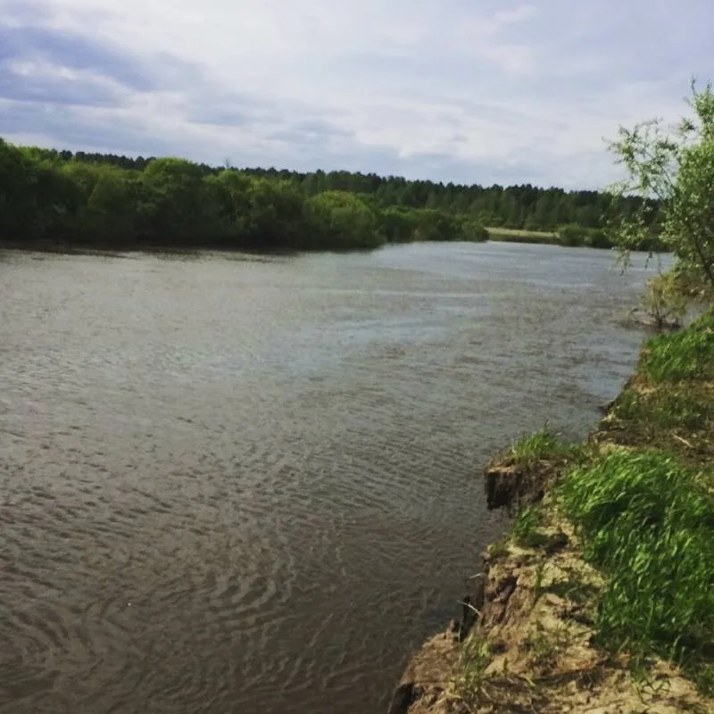 Лещ