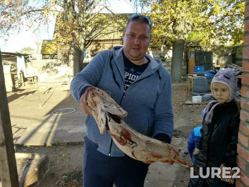 Окунь, Щука — Астраханская область, Володарский район, 04 нояб. 2017 г.