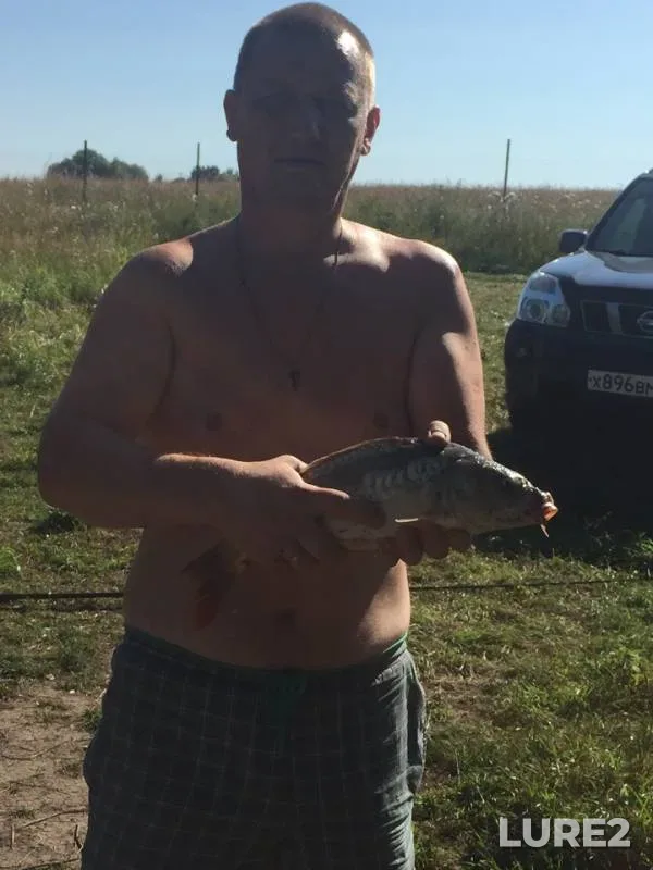 Карп