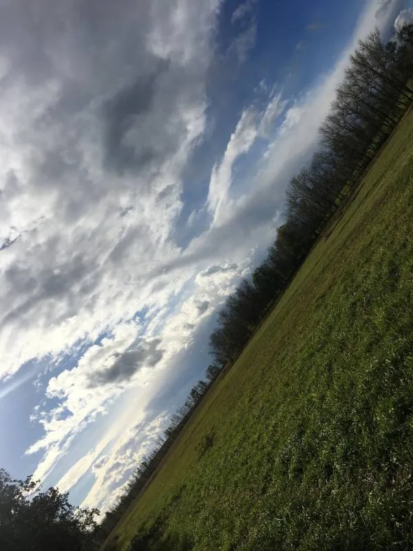 Окунь