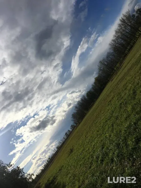 Окунь