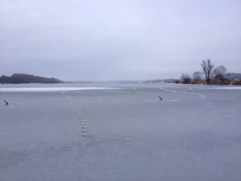Окунь, Щука