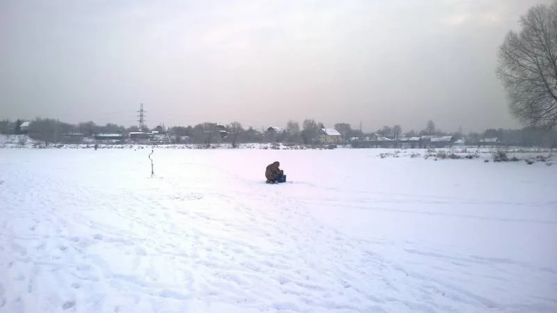 Окунь