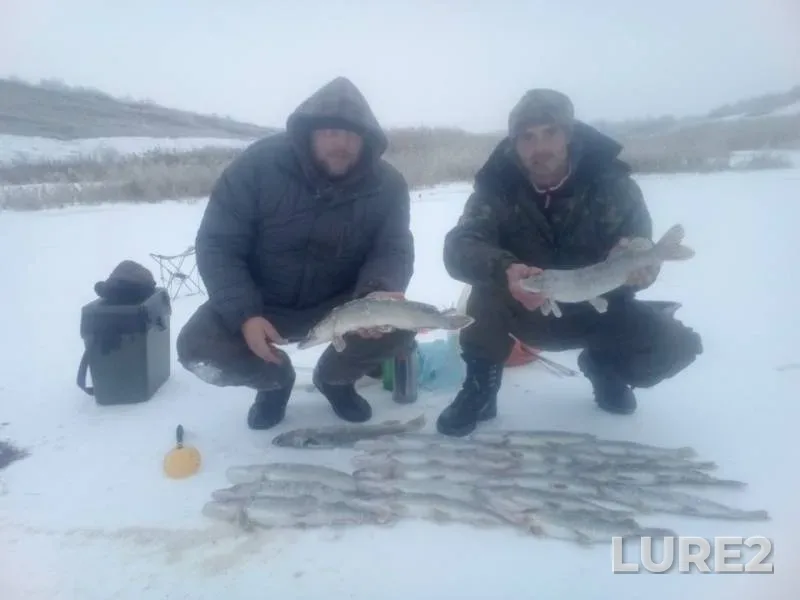 Щука — Харківська область, 03 дек. 2018 г.