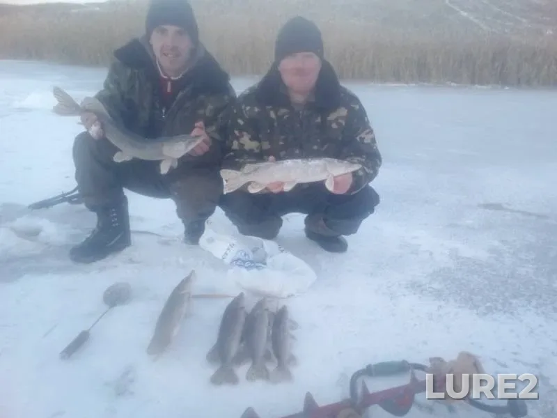 Щука — Харківська область, 30 нояб. 2018 г.