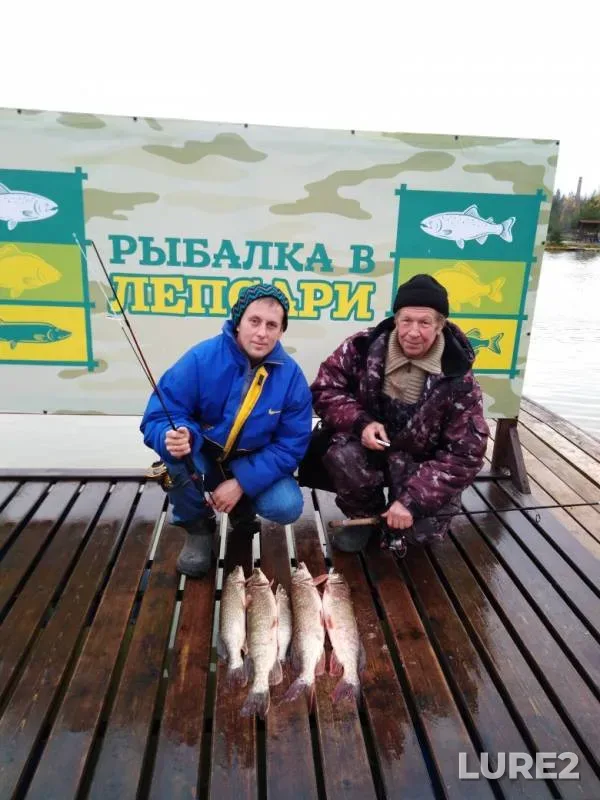 Щука