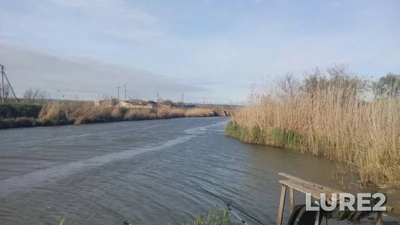 Карась — Краснодарский край, Темрюкский район, 21 апр. 2019 г.