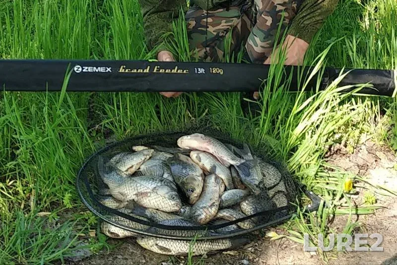 Лещ, Карась — Кубань, 29 апр. 2019 г.
