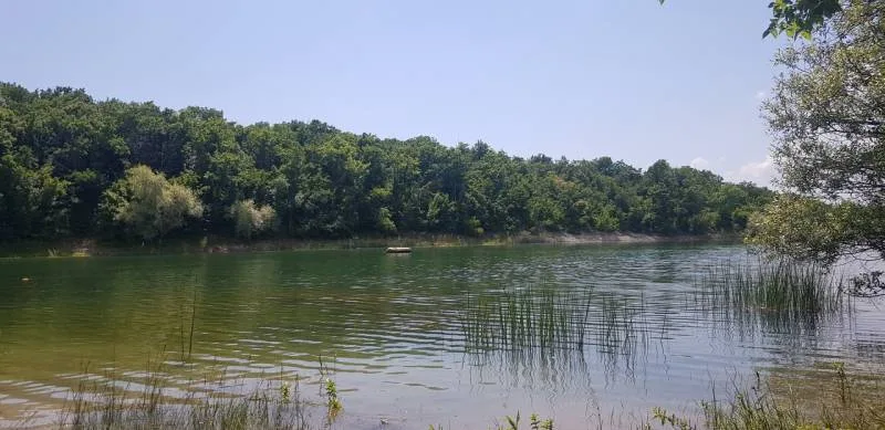 Окунь, Щука