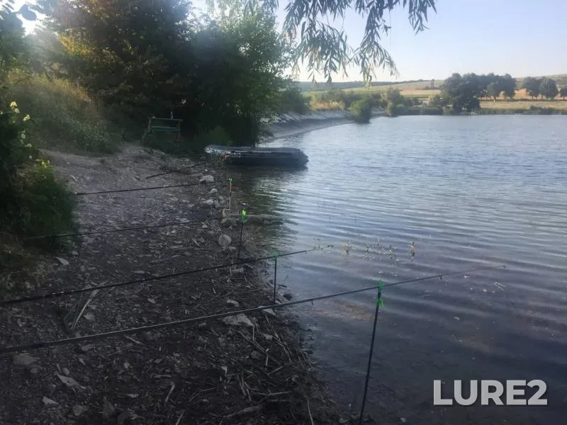 Карась — Краснодарский край, 08 июл. 2019 г.
