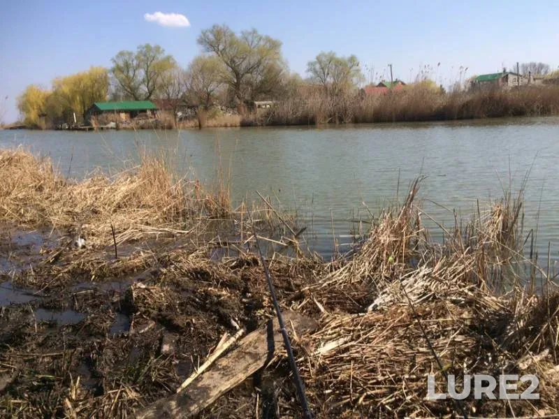 Карась — Краснодарский край, Славянский район, 06 апр. 2019 г.