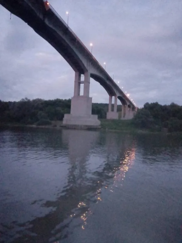 Окунь