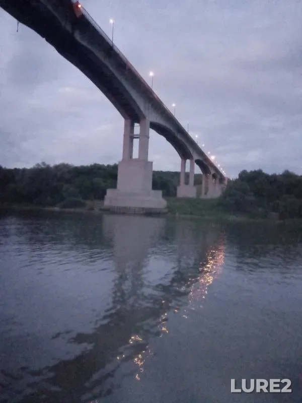 Окунь