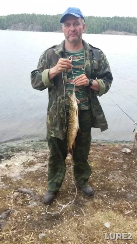 Щука