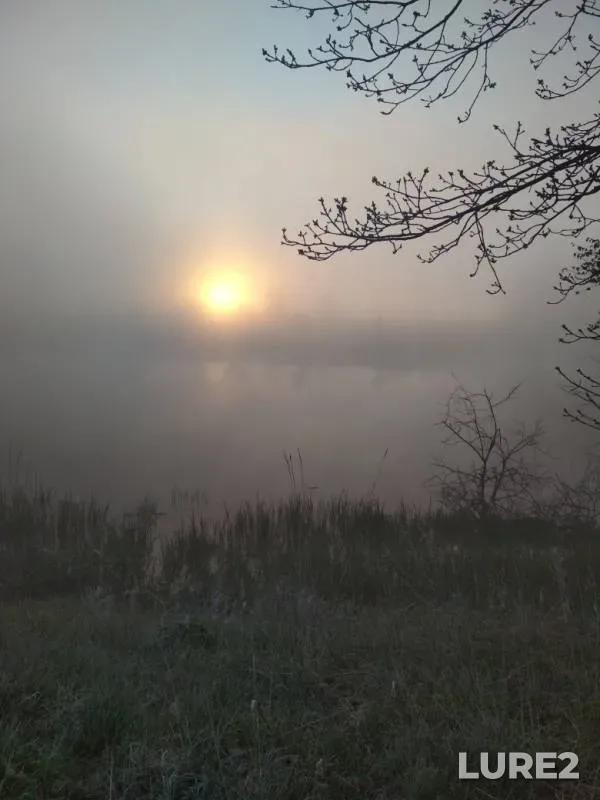 Щука — Карповый, 08 мая 2019 г.