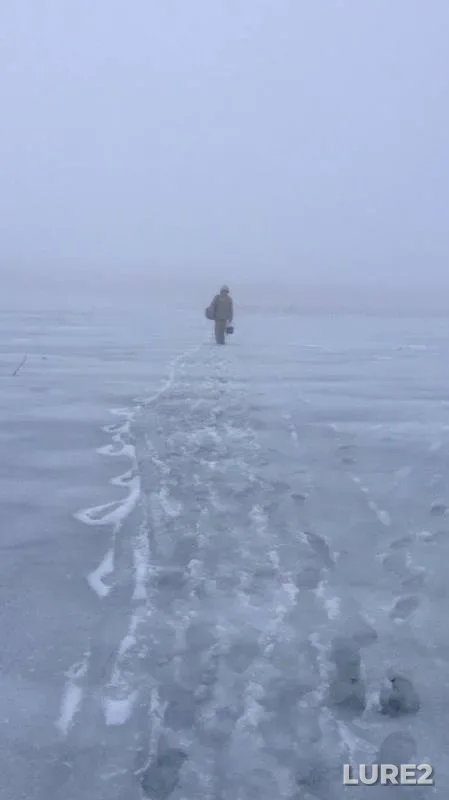 Плотва, Краснопёрка — Лотос, 07 янв. 2016 г.