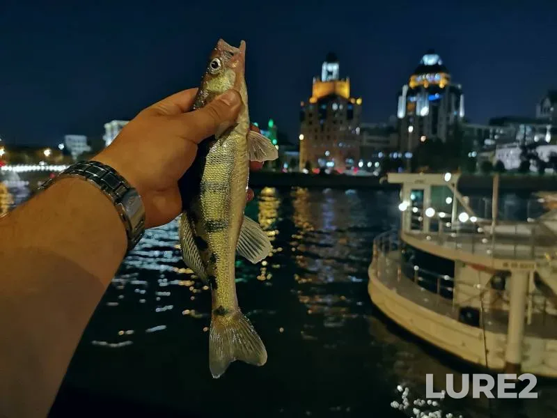 Судак — Москва, 08 сент. 2019 г.
