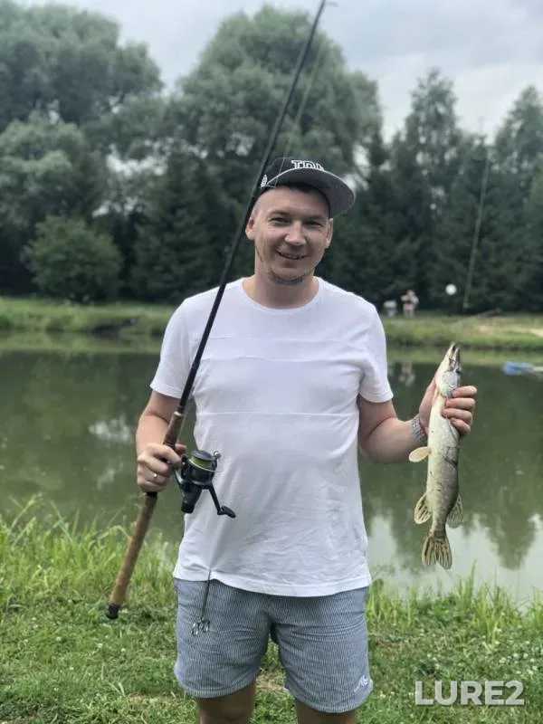 Карп, Щука
