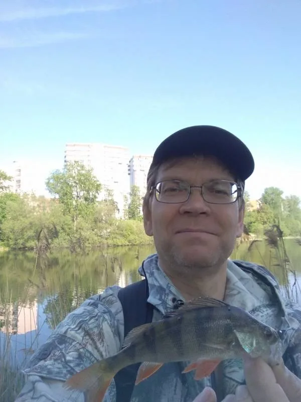 Уклейка, Окунь
