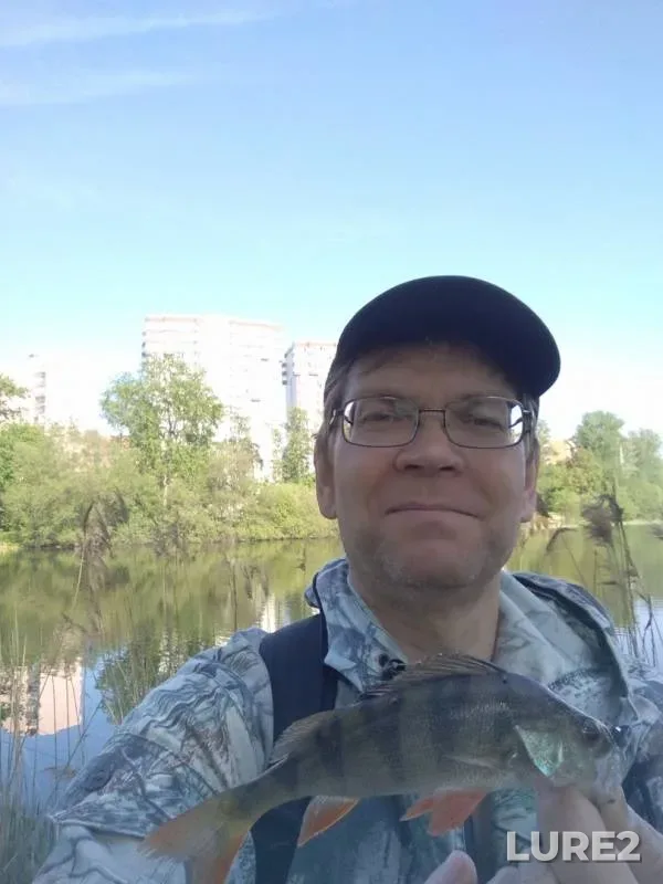 Уклейка, Окунь