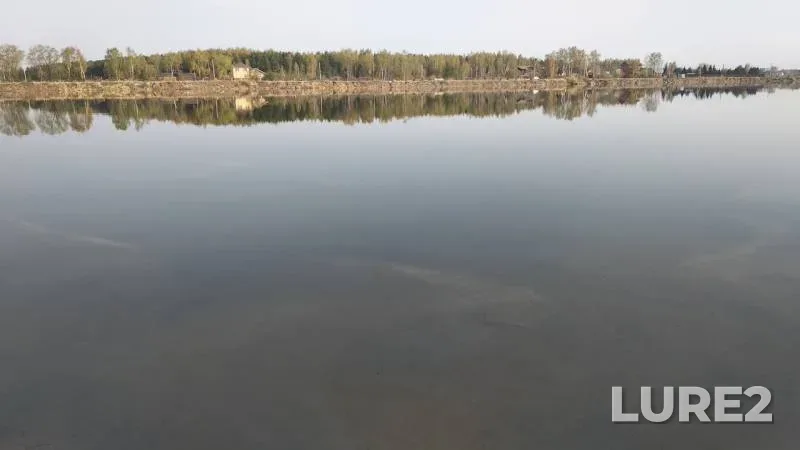 Плотва — Московская область, Богородский городской округ, 26 апр. 2019 г.