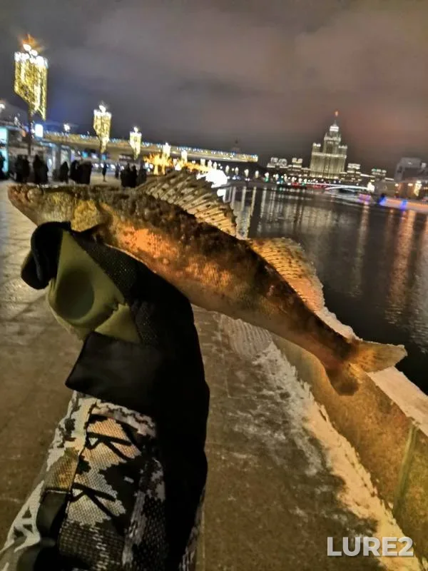 Судак — Москва, 5 янв. 2019 г.