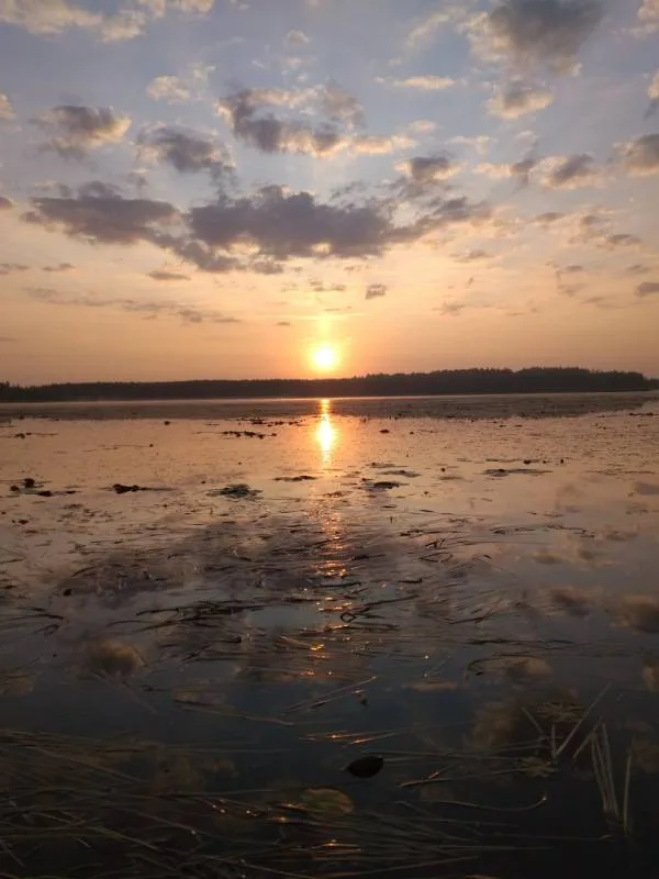 Карась