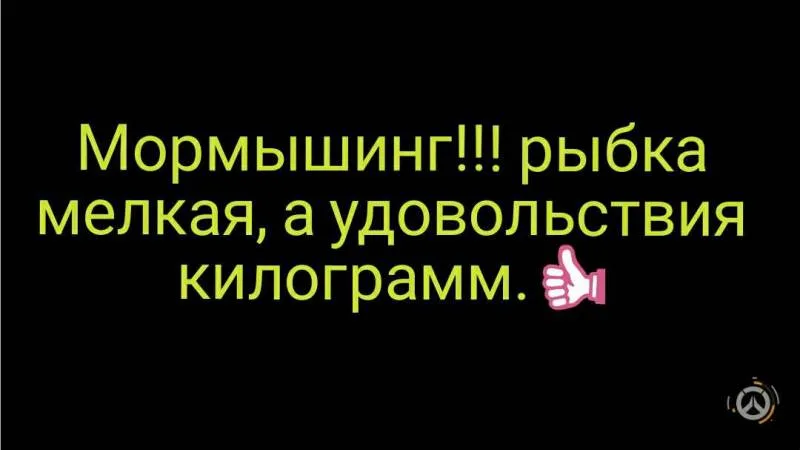 Окунь