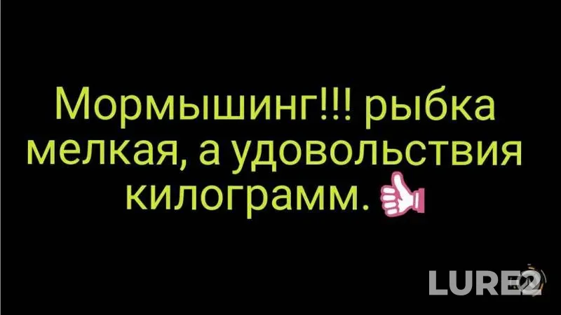Окунь — Зарёвский карьер, 08 июл. 2019 г.