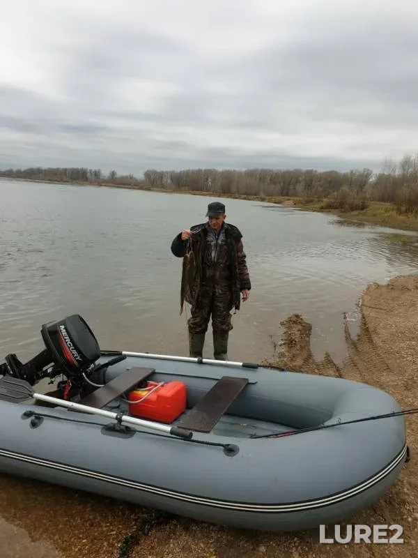 Щука — Уфа, 18 окт. 2019 г.