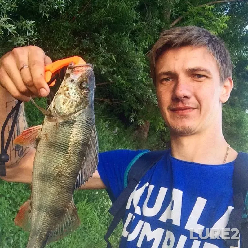 Окунь — Клязьма, 20 июн. 2019 г.