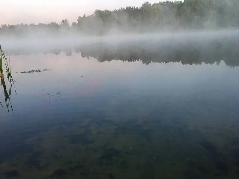 Окунь