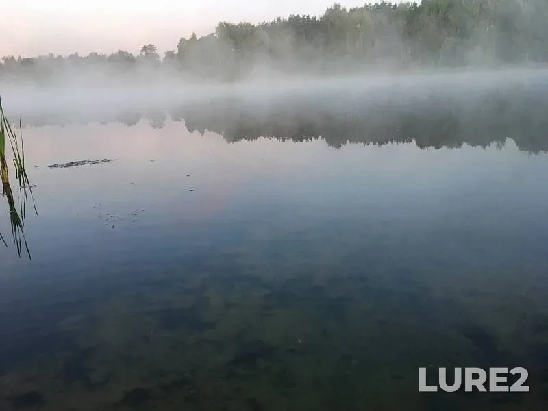 Окунь