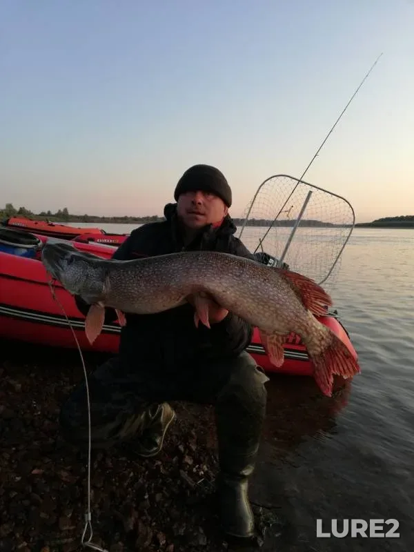 Щука — Чая, 31 авг. 2019 г.