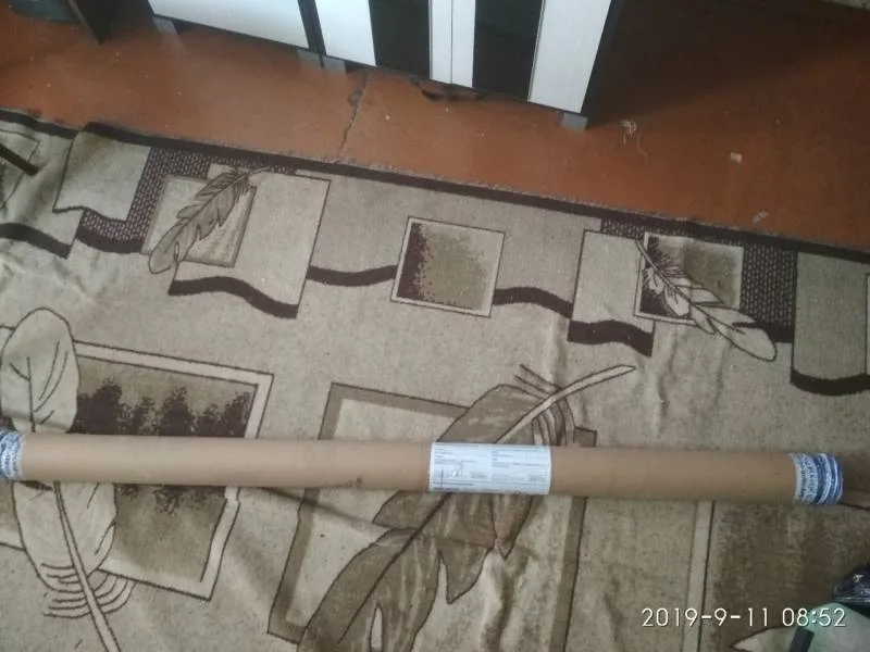 Щука