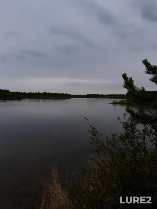 Окунь — Свердловская область, 25 авг. 2019 г.