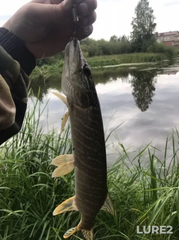 Щука — Нейва, 12 авг. 2019 г.