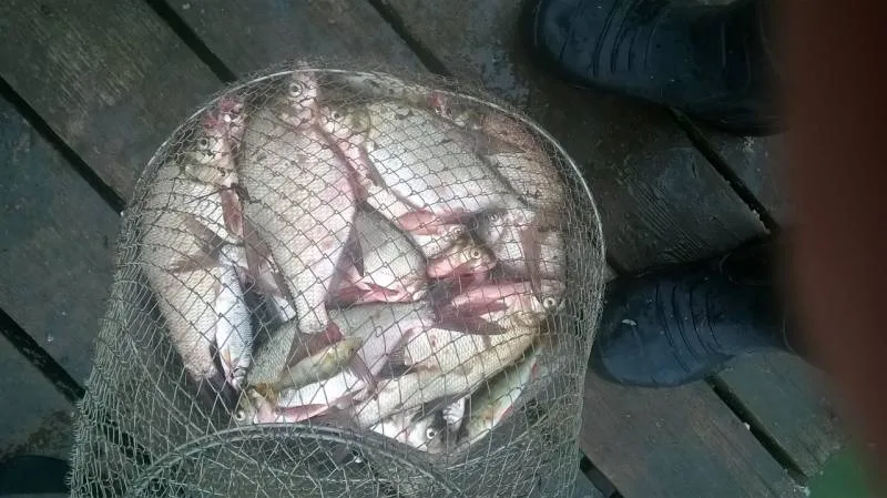 Лещ