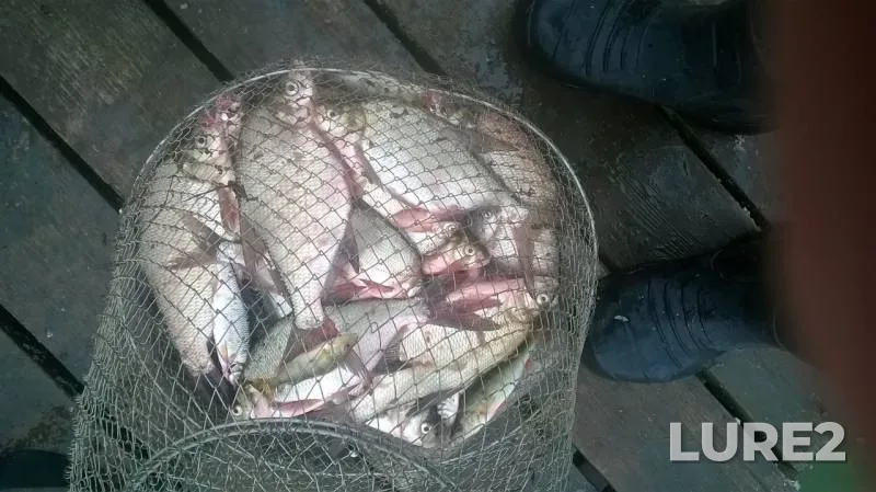 Лещ — Черноисточинский, 04 авг. 2019 г.